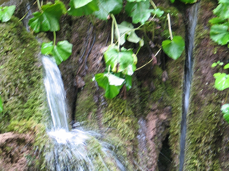 Original image